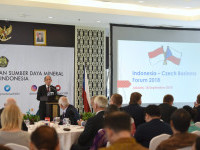 Buka Forum Bisnis Indonesia-Ceko, Arcandra Sampaikan 3 Hal Ini