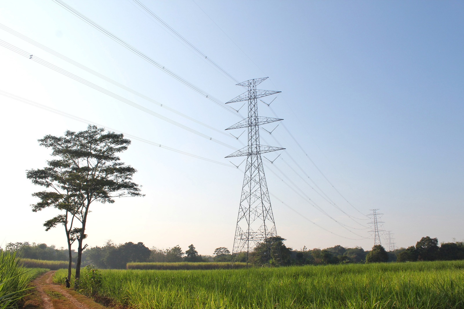 Jaga Stabilitas Awal Tahun 2026, Pemerintah Putuskan Tarif Listrik Tetap