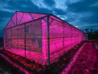 Pemerintah Apresiasi Inovasi PLN Kembangkan Lampu UV di Sektor Pertanian