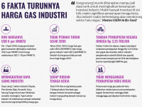 Tak Hanya Tingkatkan Daya Saing Industri, Ini 6 Fakta Seputar Turunnya Harga Gas Industri