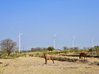 Wilayah Ini Miliki Potensi Energi Angin Di Atas 100 MW
