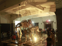 Peningkatan Kualitas Pelayanan, Badan Geologi Lakukan Program Night at The Museum